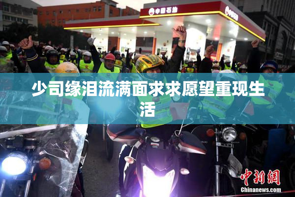 少司缘泪流满面求求愿望重现生活