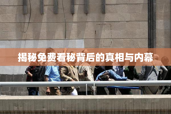 揭秘免费看秘背后的真相与内幕