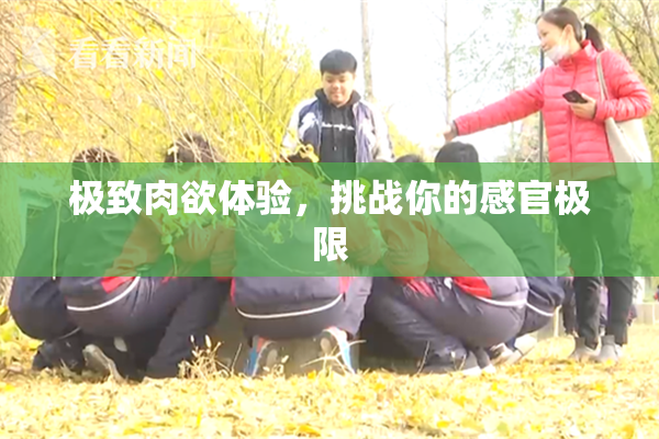 极致肉欲体验，挑战你的感官极限