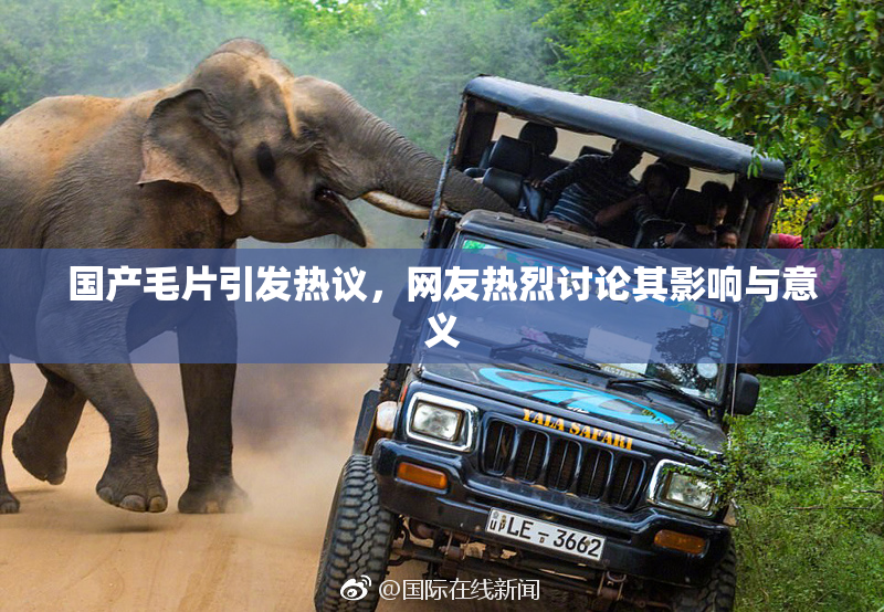 国产毛片引发热议，网友热烈讨论其影响与意义
