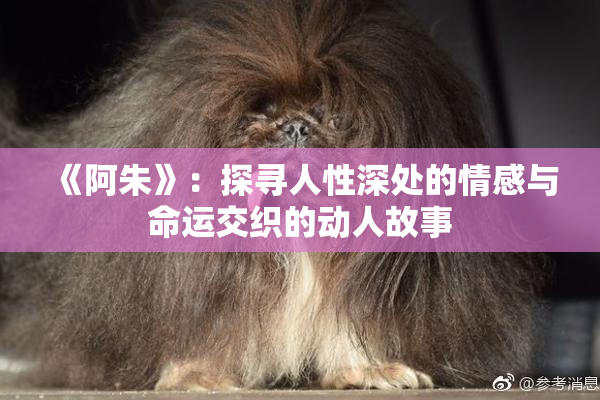 《阿朱》：探寻人性深处的情感与命运交织的动人故事