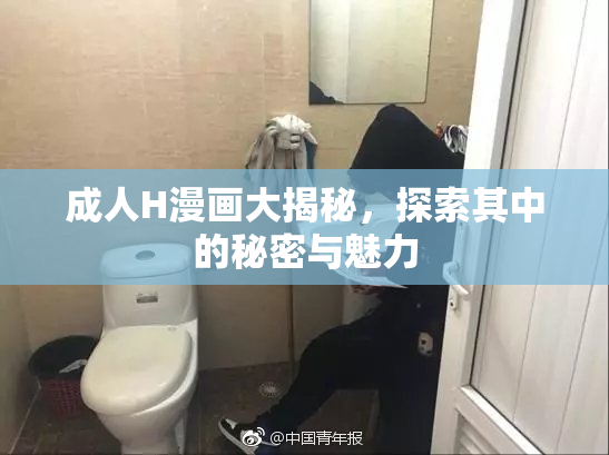 成人H漫画大揭秘，探索其中的秘密与魅力