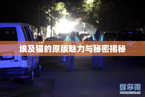 埃及猫的原版魅力与秘密揭秘