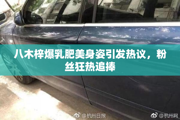 八木梓爆乳肥美身姿引发热议，粉丝狂热追捧