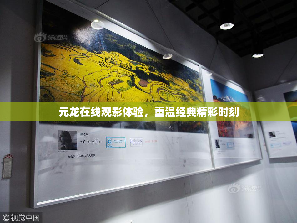 元龙在线观影体验，重温经典精彩时刻