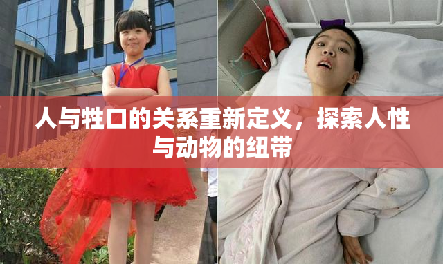 人与牲口的关系重新定义，探索人性与动物的纽带