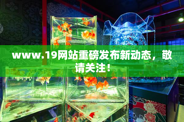 www.19网站重磅发布新动态，敬请关注！