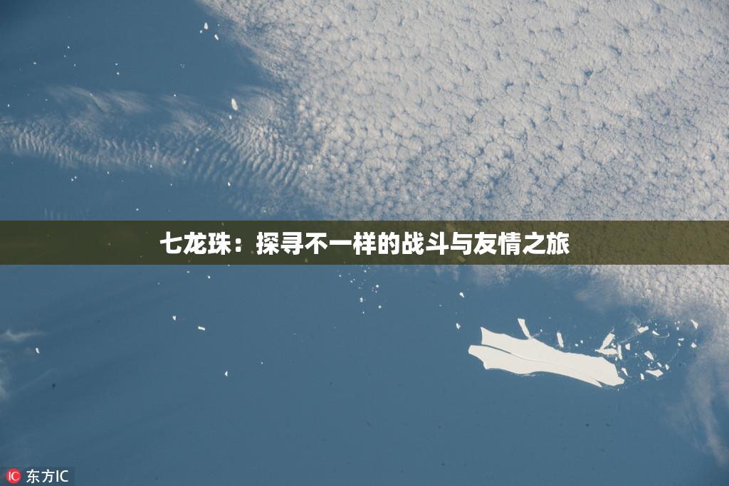 七龙珠：探寻不一样的战斗与友情之旅