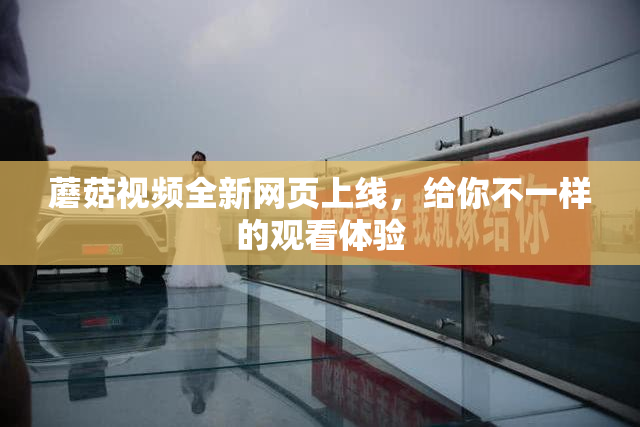 蘑菇视频全新网页上线，给你不一样的观看体验
