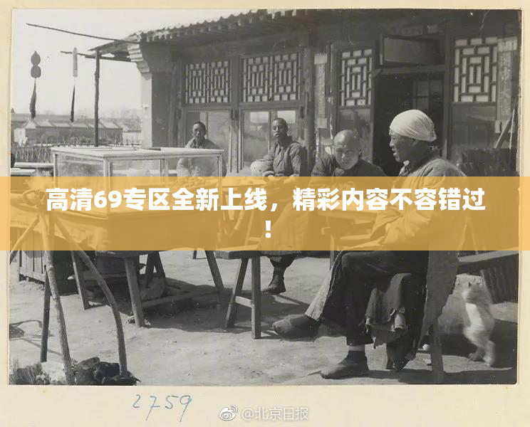 高清69专区全新上线，精彩内容不容错过！