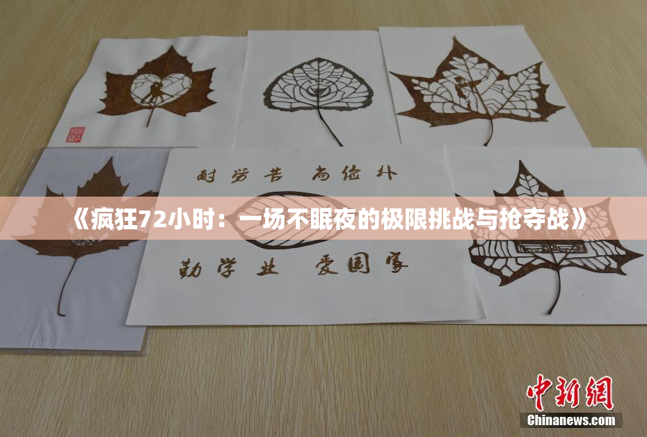 《疯狂72小时：一场不眠夜的极限挑战与抢夺战》