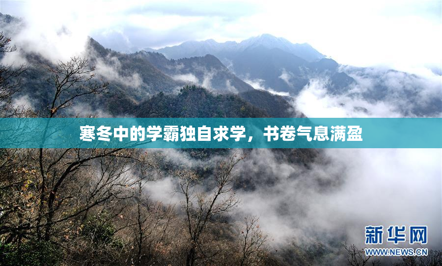 寒冬中的学霸独自求学，书卷气息满盈