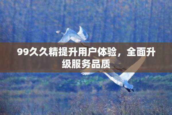 99久久精提升用户体验，全面升级服务品质