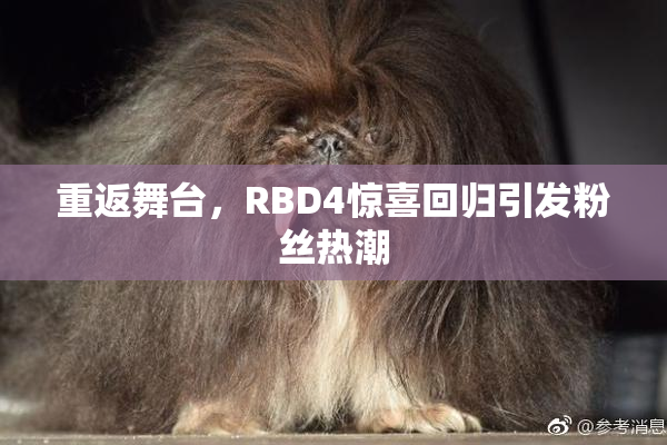重返舞台，RBD4惊喜回归引发粉丝热潮