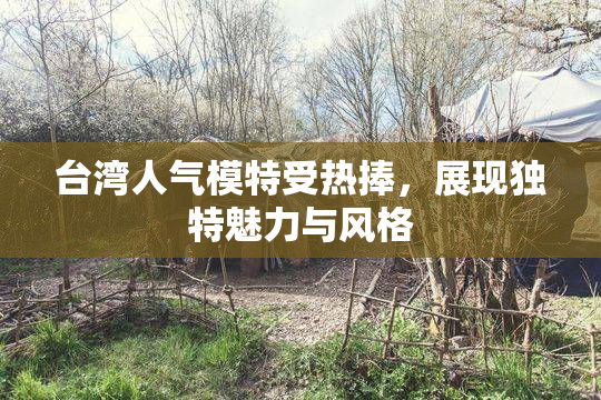 台湾人气模特受热捧，展现独特魅力与风格