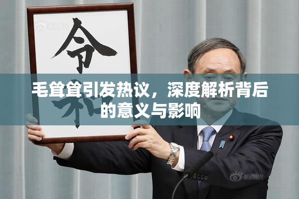 毛耸耸引发热议，深度解析背后的意义与影响