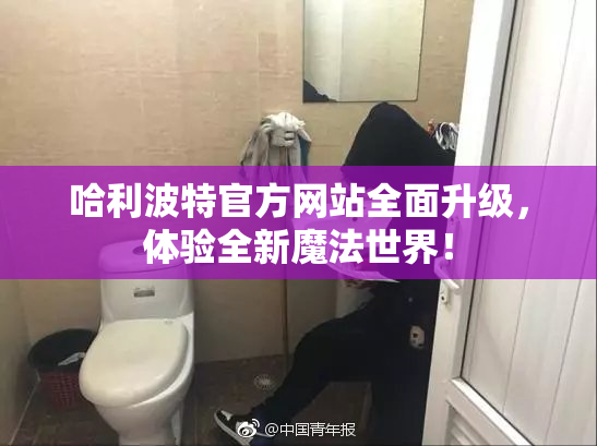哈利波特官方网站全面升级，体验全新魔法世界！
