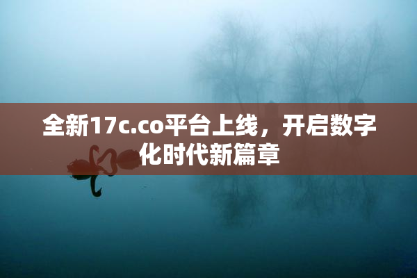 全新17c.co平台上线，开启数字化时代新篇章