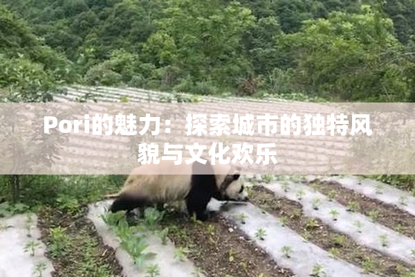 Pori的魅力：探索城市的独特风貌与文化欢乐