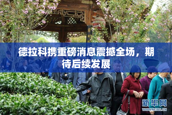 德拉科携重磅消息震撼全场，期待后续发展