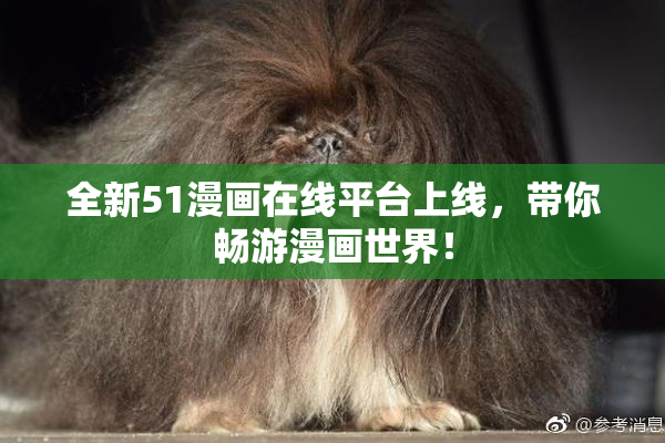 全新51漫画在线平台上线，带你畅游漫画世界！