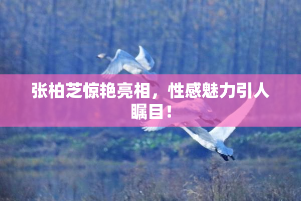 张柏芝惊艳亮相，性感魅力引人瞩目！
