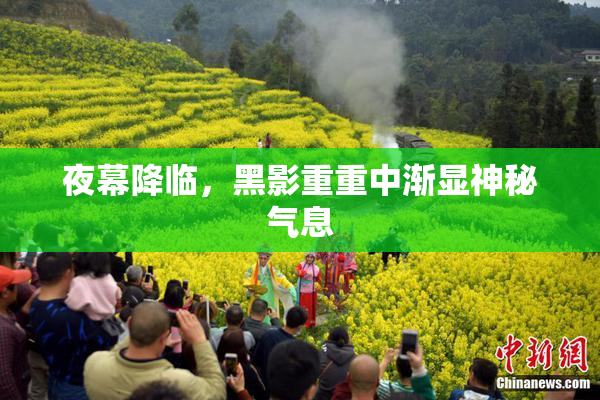 夜幕降临，黑影重重中渐显神秘气息