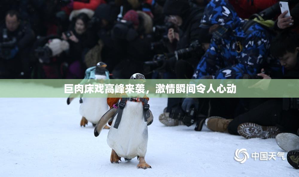 巨肉床戏高峰来袭，激情瞬间令人心动