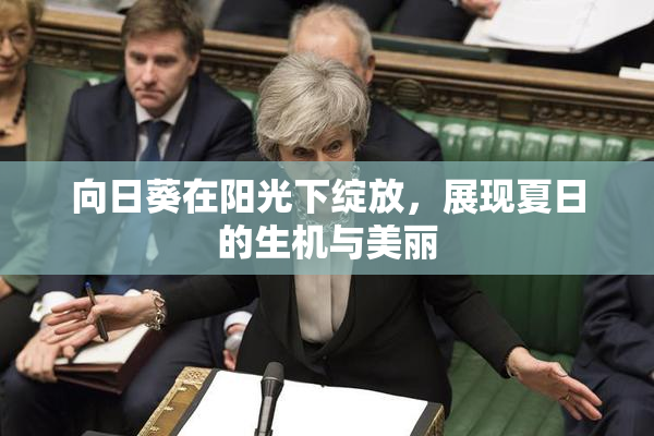 向日葵在阳光下绽放，展现夏日的生机与美丽