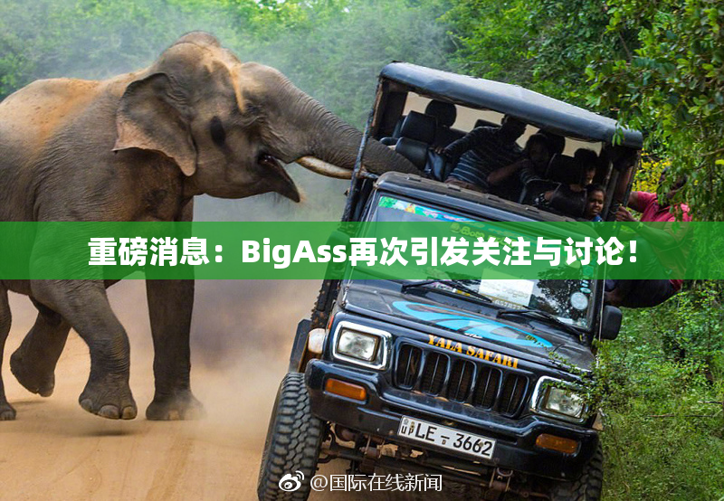 重磅消息：BigAss再次引发关注与讨论！
