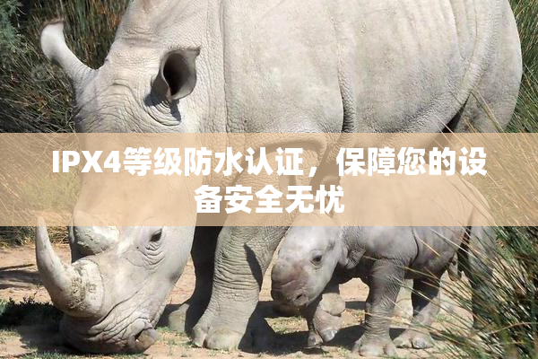 IPX4等级防水认证，保障您的设备安全无忧