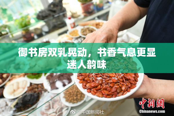 御书房双乳晃动，书香气息更显迷人韵味