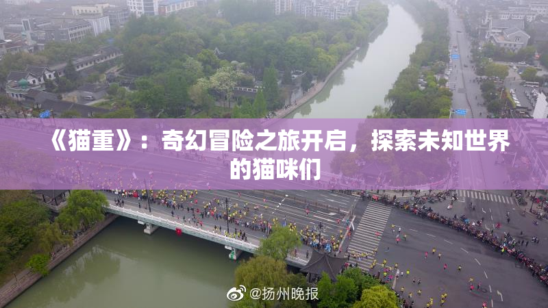 《猫重》：奇幻冒险之旅开启，探索未知世界的猫咪们