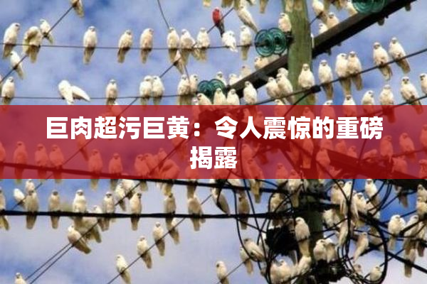 巨肉超污巨黄：令人震惊的重磅揭露