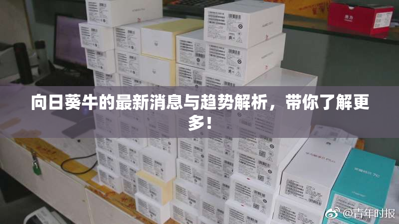 向日葵牛的最新消息与趋势解析，带你了解更多！