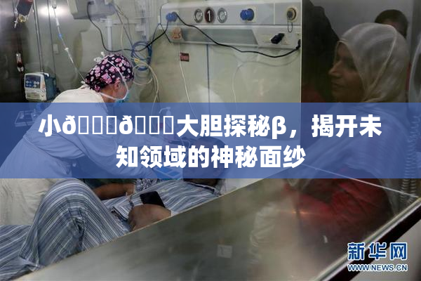 小🐔🐔大胆探秘β，揭开未知领域的神秘面纱