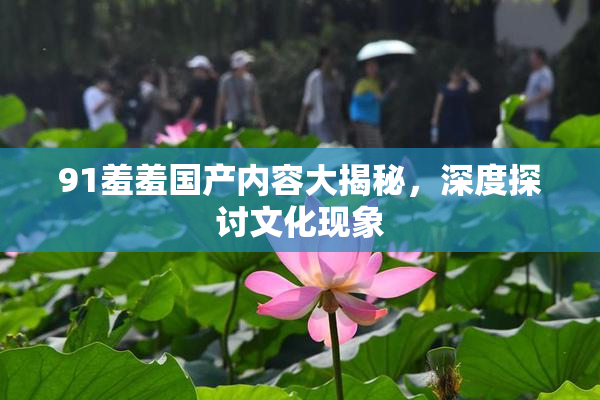 91羞羞国产内容大揭秘，深度探讨文化现象