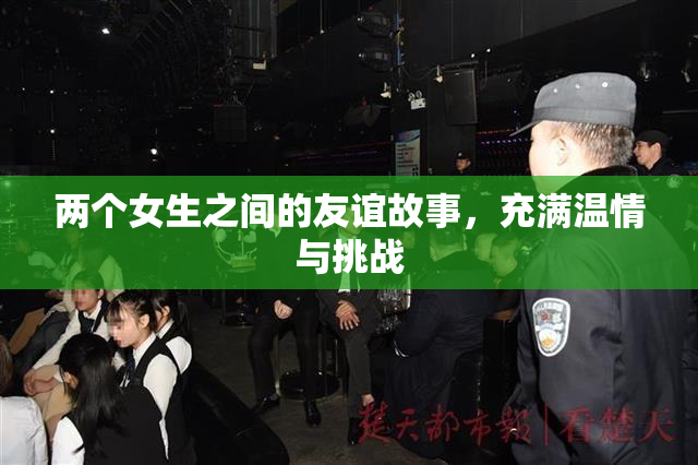 两个女生之间的友谊故事，充满温情与挑战