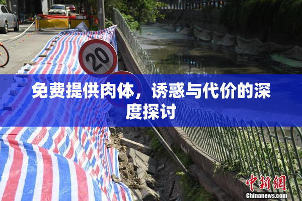 免费提供肉体，诱惑与代价的深度探讨