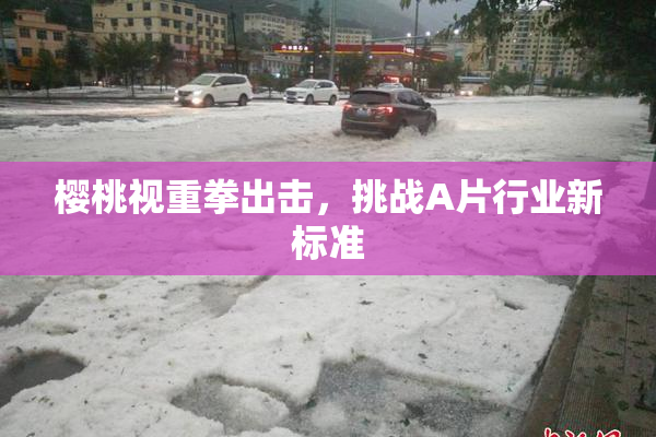 樱桃视重拳出击，挑战A片行业新标准