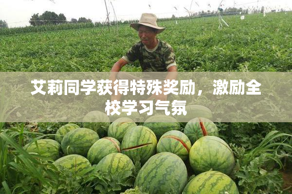 艾莉同学获得特殊奖励，激励全校学习气氛