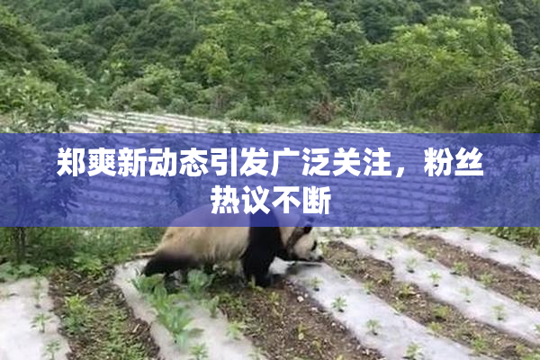 郑爽新动态引发广泛关注，粉丝热议不断
