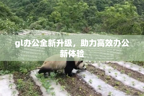 gl办公全新升级，助力高效办公新体验