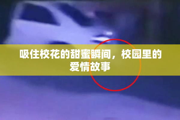 吸住校花的甜蜜瞬间，校园里的爱情故事