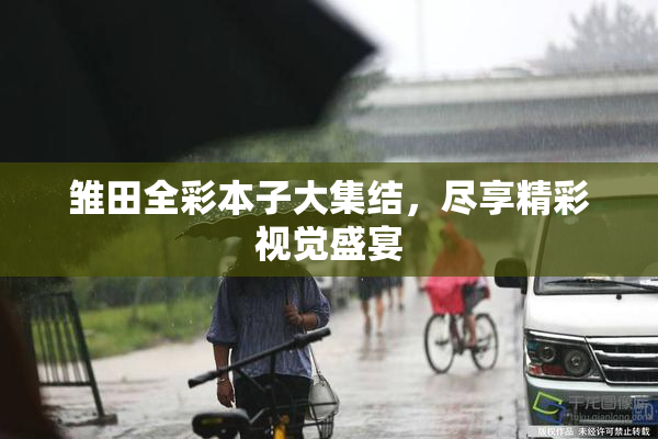 雏田全彩本子大集结，尽享精彩视觉盛宴