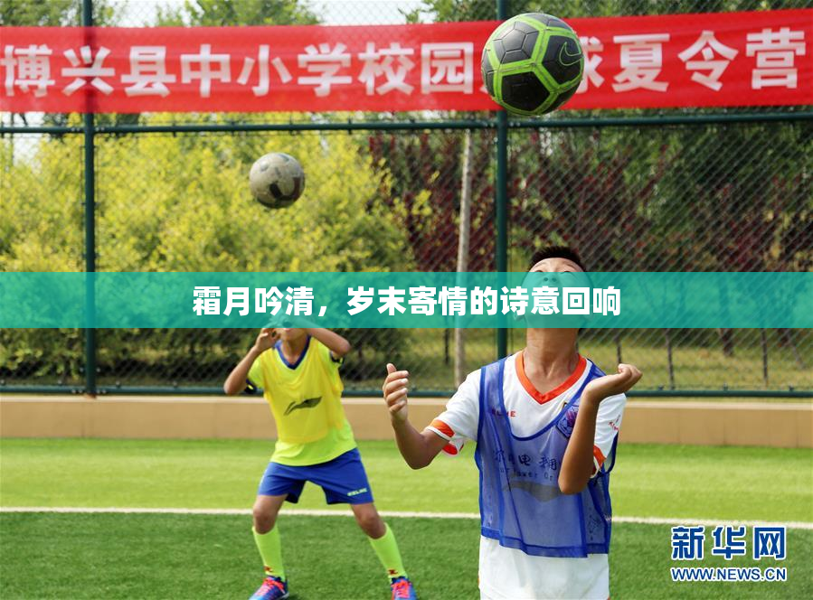 霜月吟清，岁末寄情的诗意回响