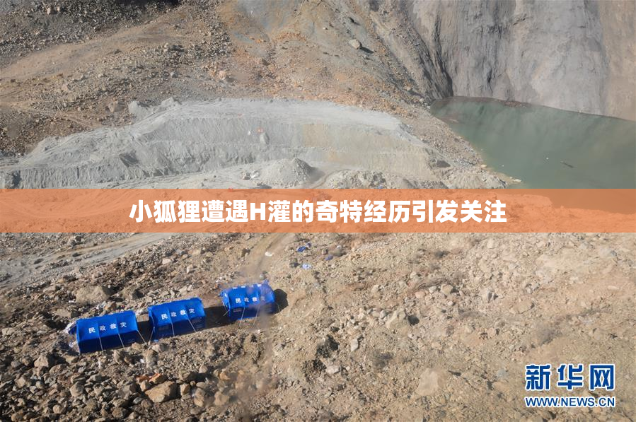 小狐狸遭遇H灌的奇特经历引发关注