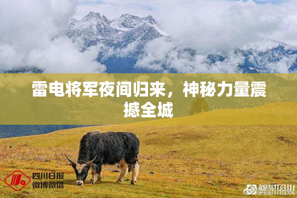 雷电将军夜间归来，神秘力量震撼全城