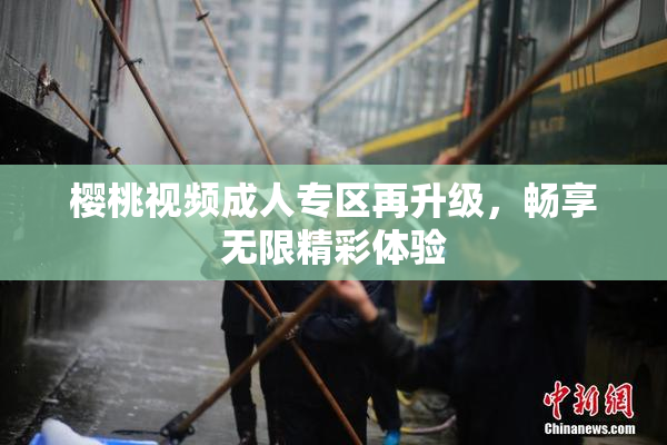 樱桃视频成人专区再升级，畅享无限精彩体验