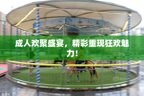 成人欢聚盛宴，精彩重现狂欢魅力！